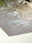 Hahnemühle Fine Art Bamboo 290 g/m²
